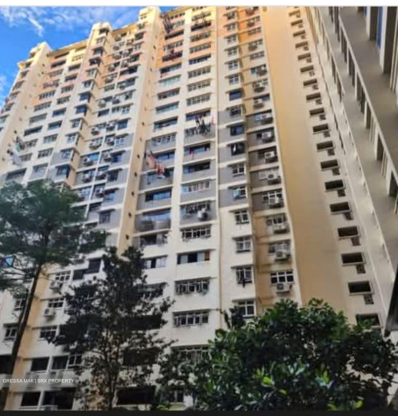 Blk 6 Holland Close (Queenstown), HDB 3 Rooms #592859121